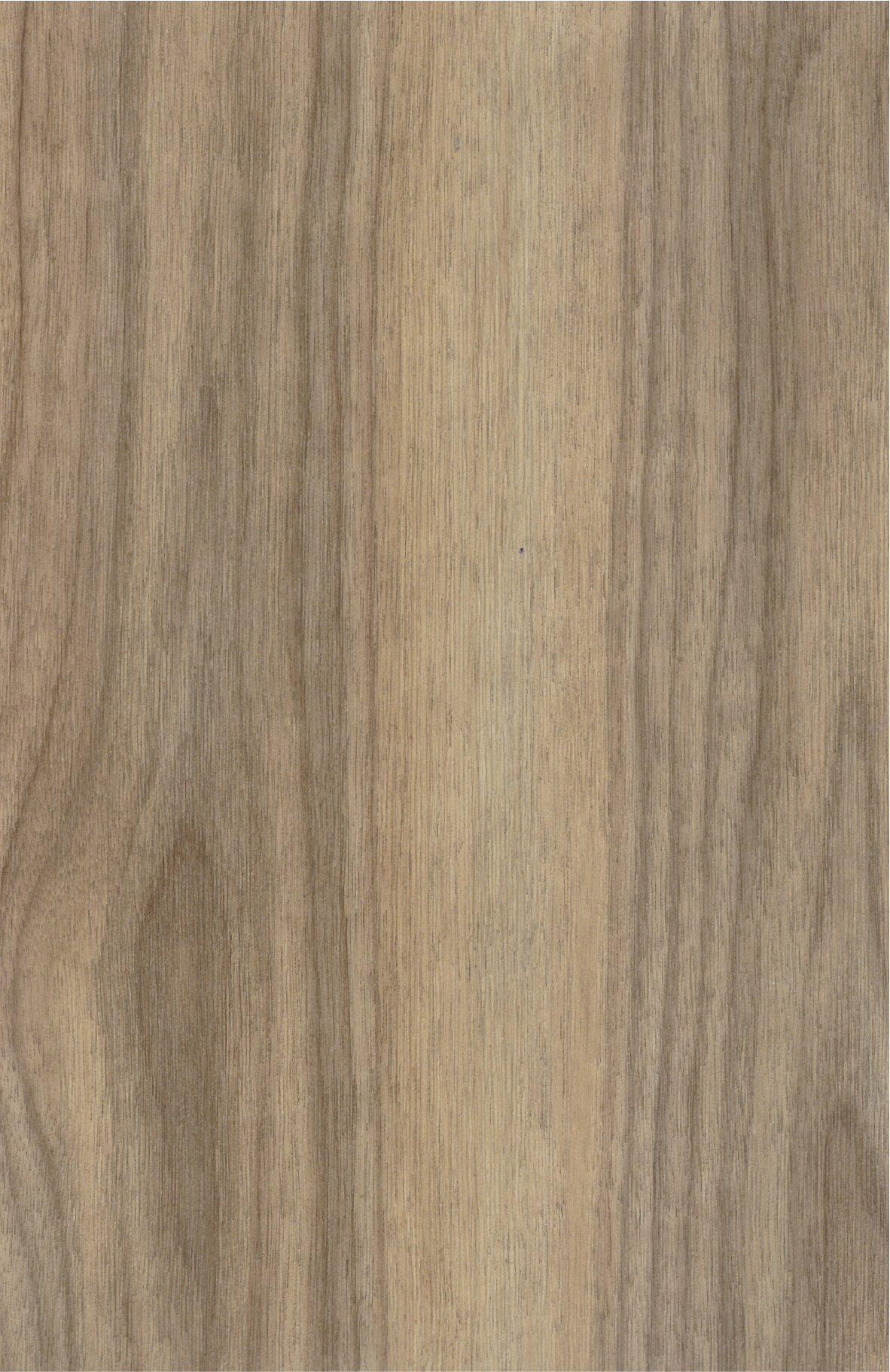 Variante GENTLEWOOD BROWN