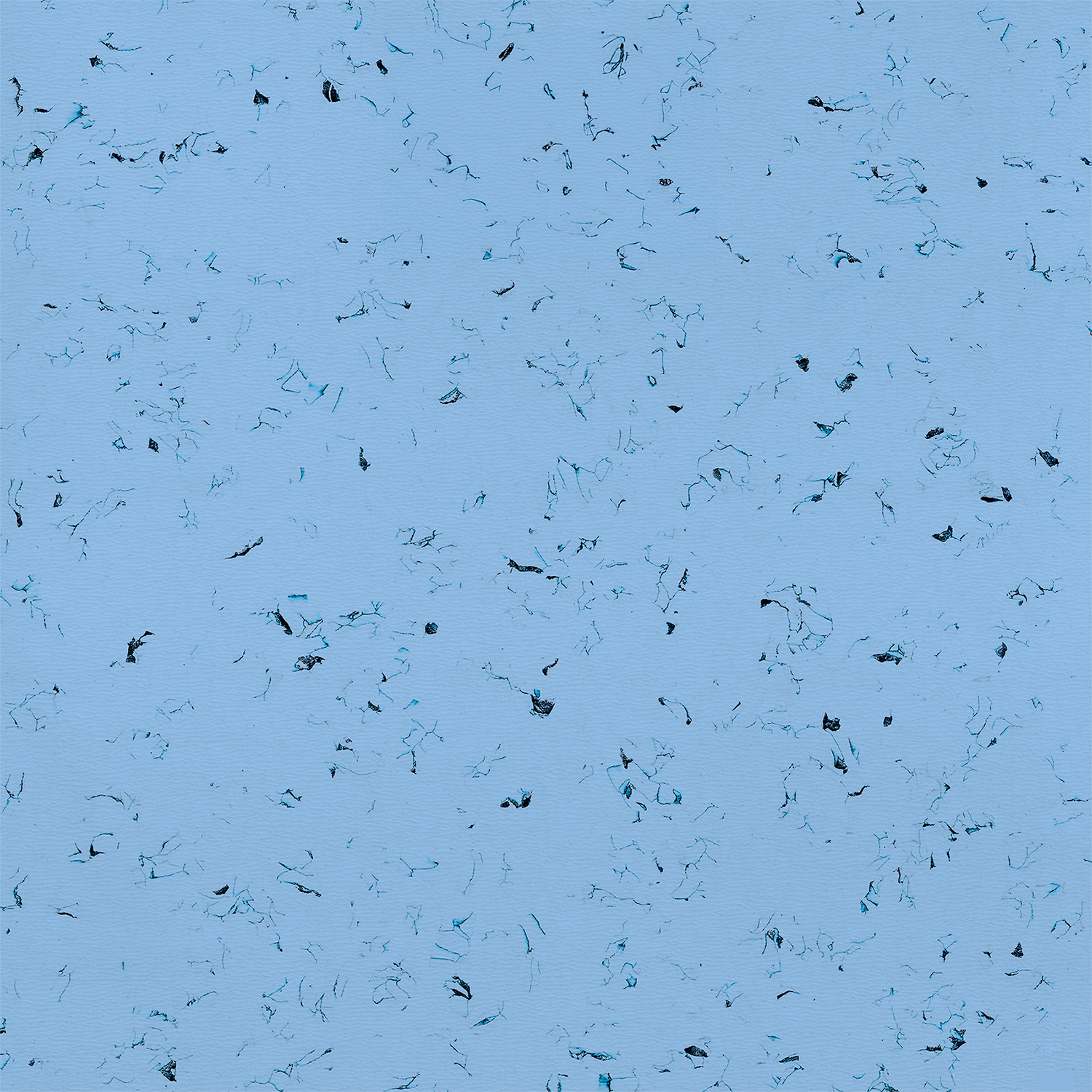 Variante Artic