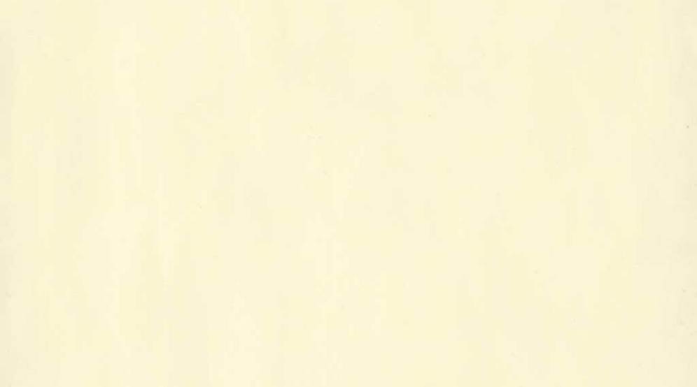 Variante Yellow